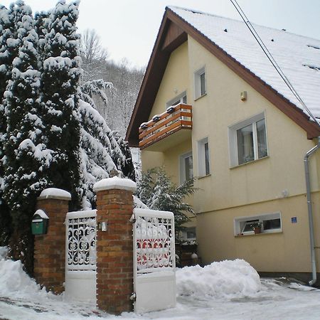 Villa Harmonia Panzio Visegrád Exterior foto